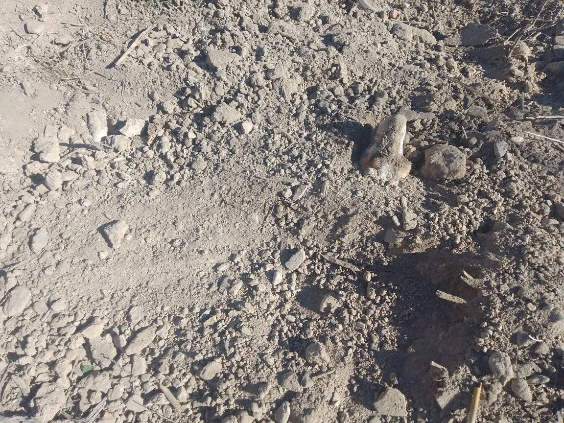 487506998_655927117395941_9219245699485990202_n