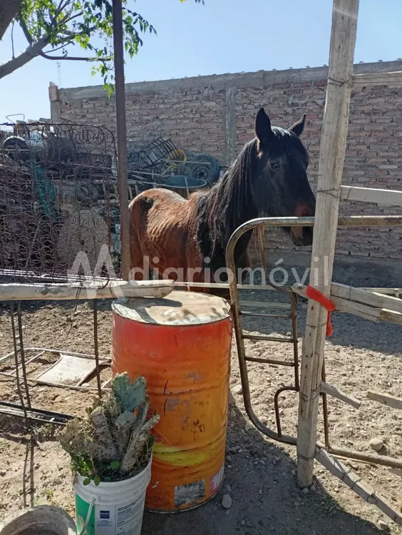 WhatsApp Image 2025-09-26 at 00.23