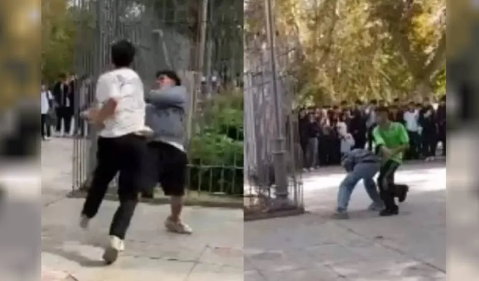 Pelea callejera