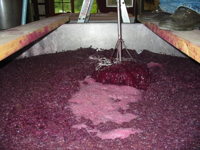 mosto1