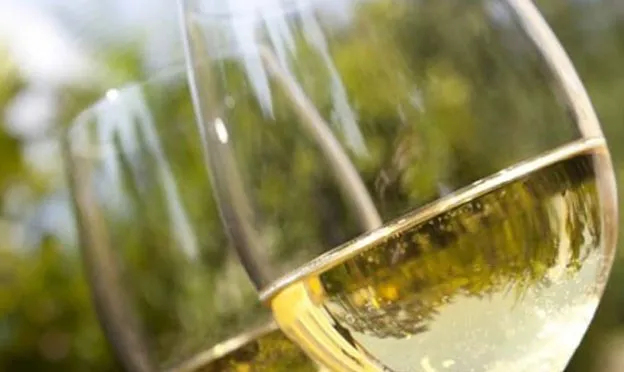 vino_blanco
