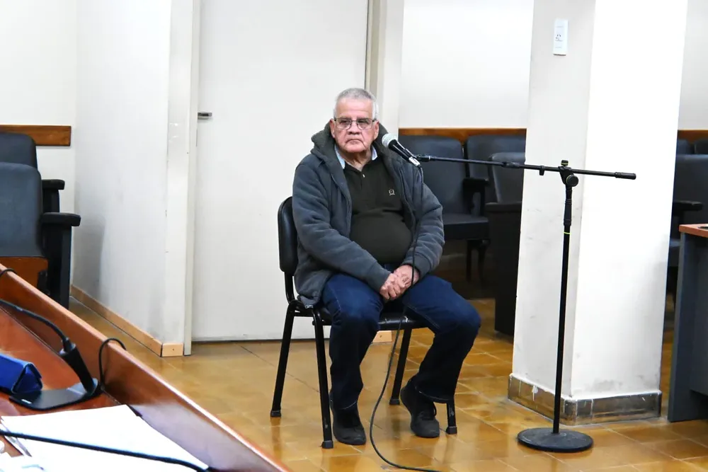 Pino de Pocito