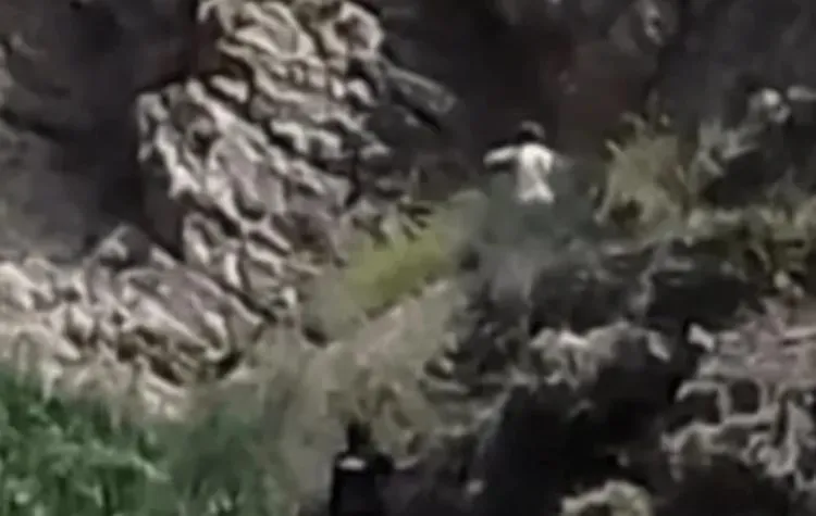 Quebrada de Zonda