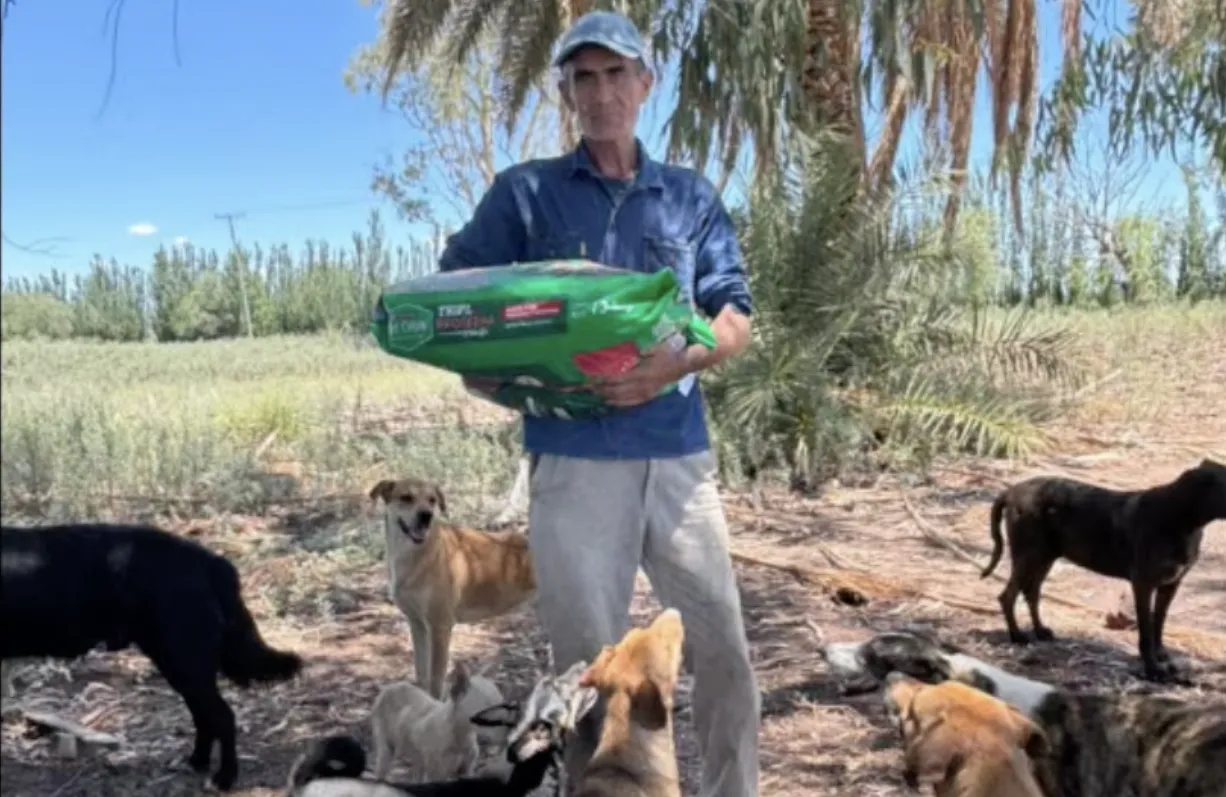 Captura de pantalla 2025-12-10 a la(s) 10.56.32 a. m.