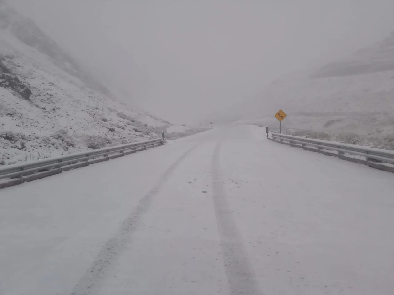 WhatsApp Image 2024-04-13 at 11.34.56 AM