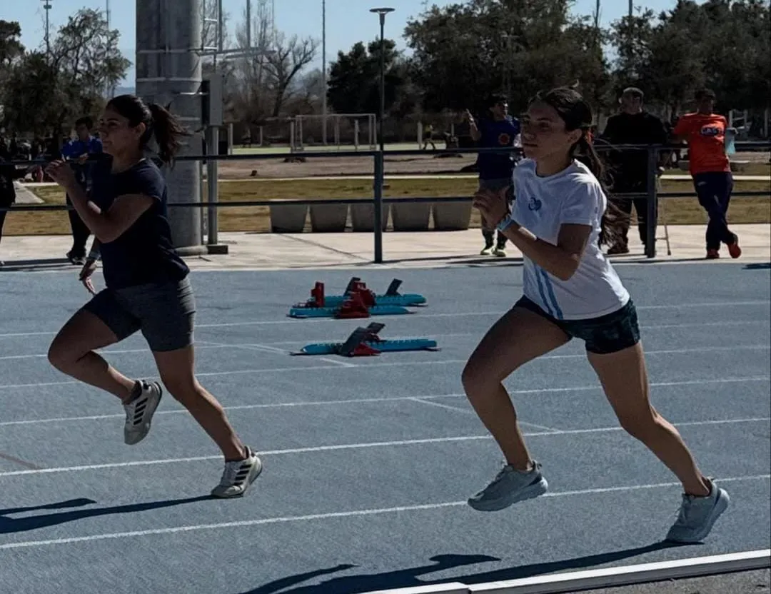 WhatsApp Image 2025-11-10 at 9.07.41 PM