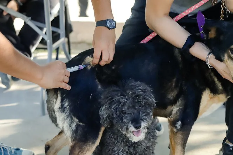 53663640807_42ef2f92b2_c_37119b4db8