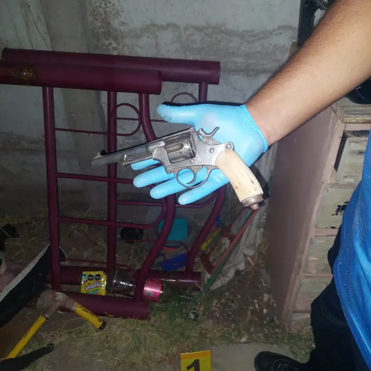 WhatsApp Image 2025-12-11 at 11.02.24