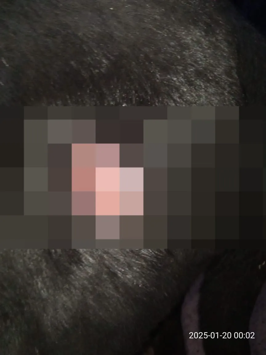 WhatsApp Image 2025-01-21 at 10.31.13