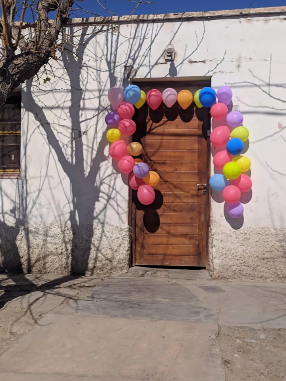 WhatsApp Image 2020-08-16 at 13.33.13