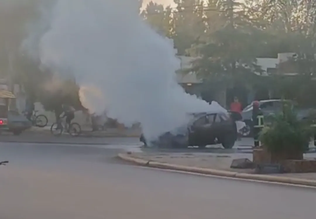 Screenshot_20250310-080320