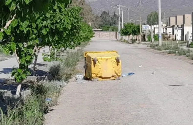 WhatsApp Image 2023-10-10 at 8.23.56 AM