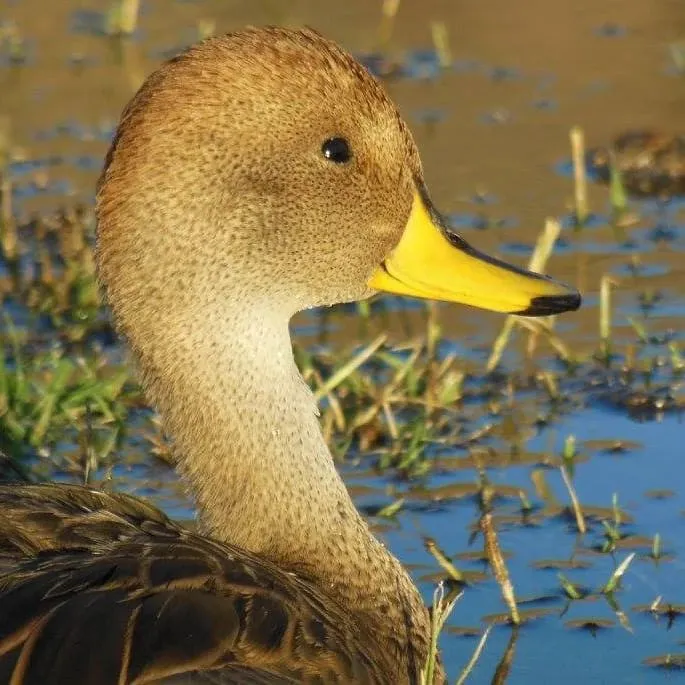 WhatsApp Image 2023-09-08 at 12.36.41 PM (2)