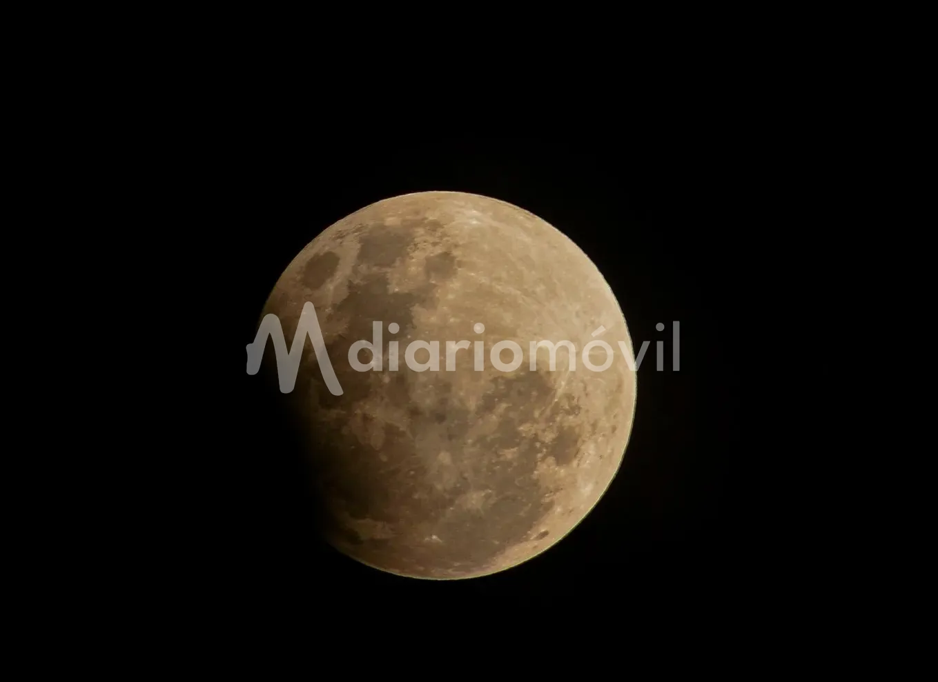 9ffea2c5-2222-47e3-ac67-3e94eeee81dc