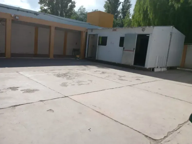 394161