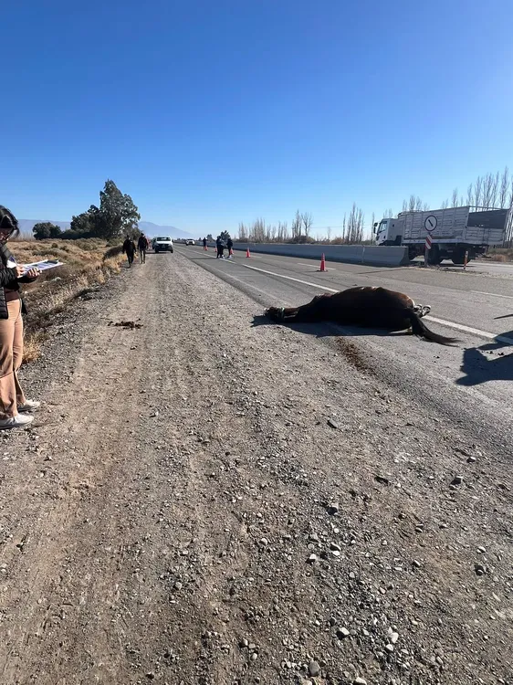 WhatsApp Image 2024-07-22 at 11.42.14 AM (1)