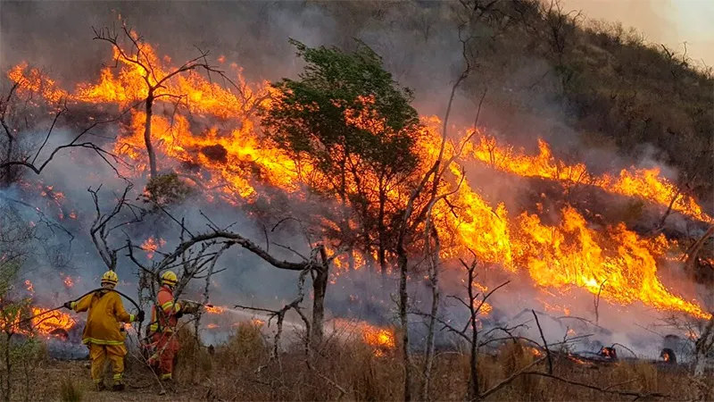 Incendio en Córdoba