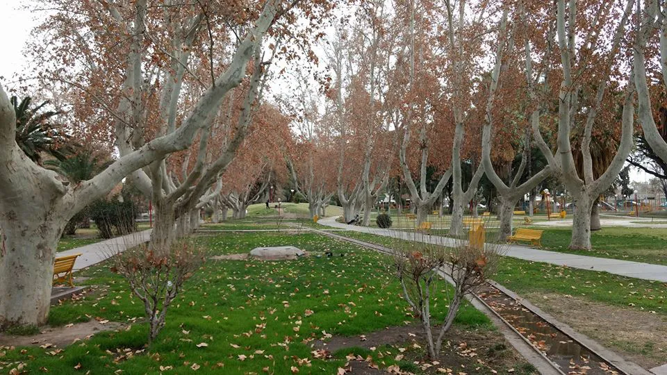 parque de mayo e