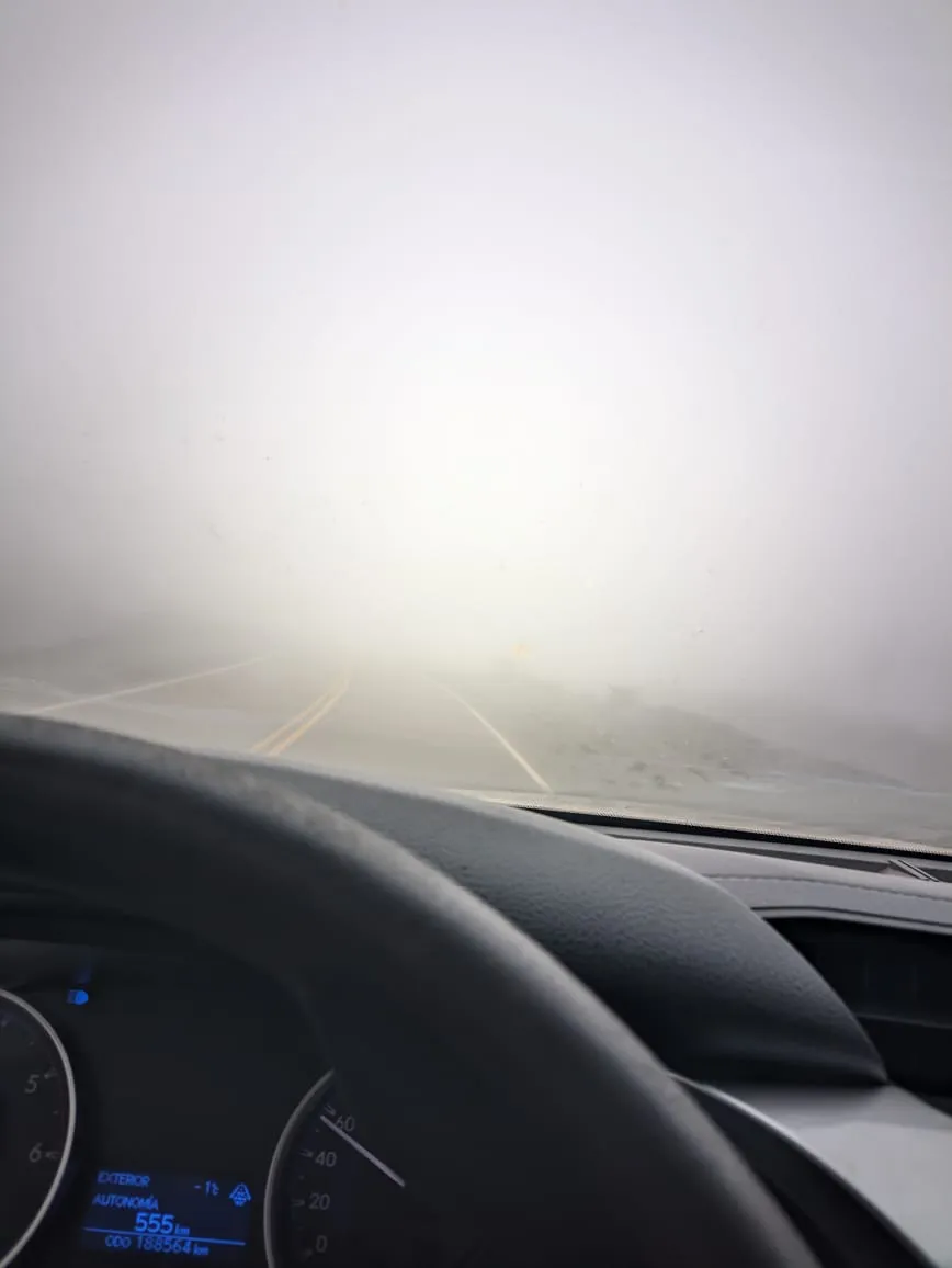 WhatsApp Image 2024-05-23 at 9.42.15 AM