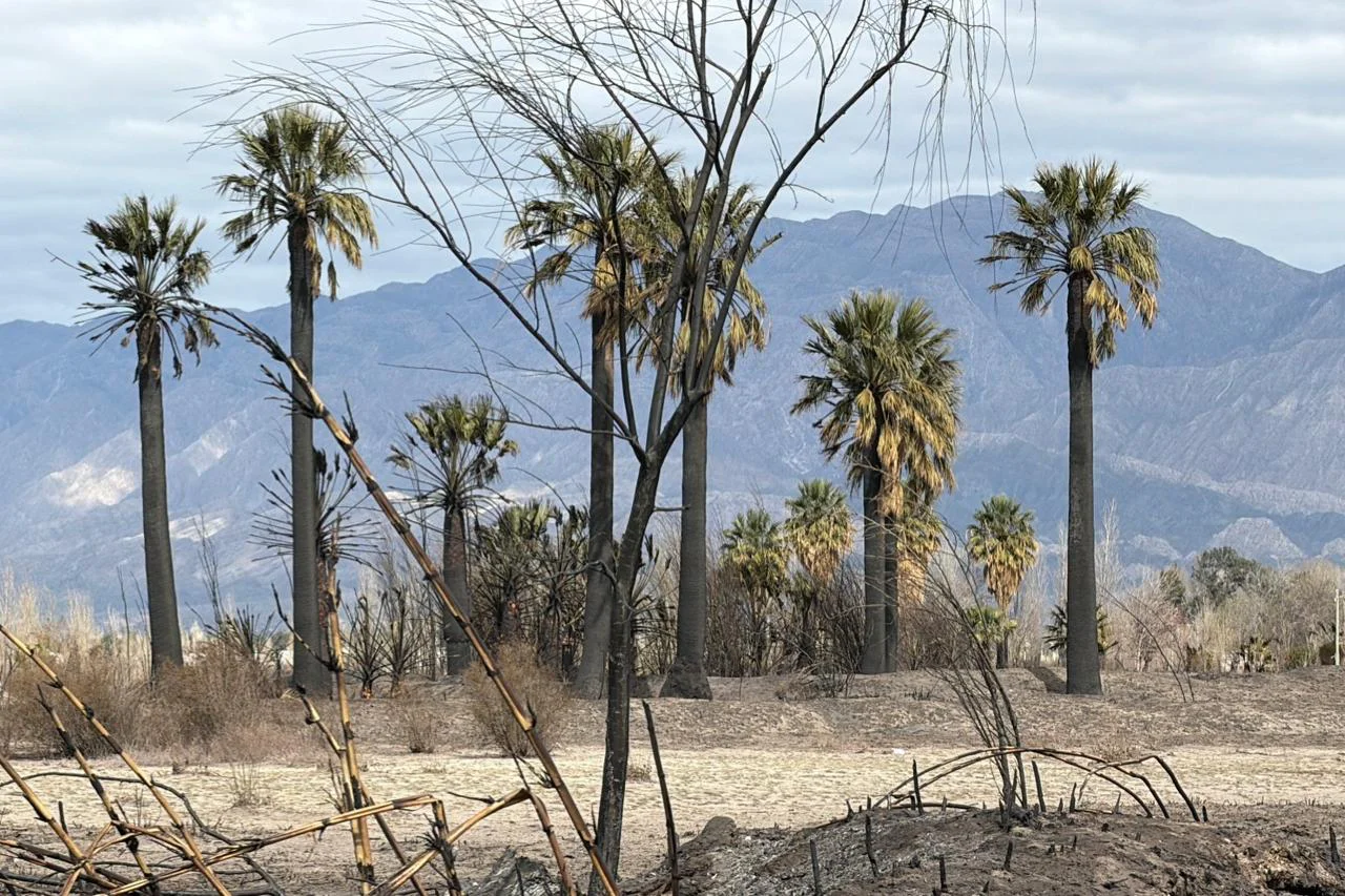 incendio viento zonda ruinas familias pérdidas