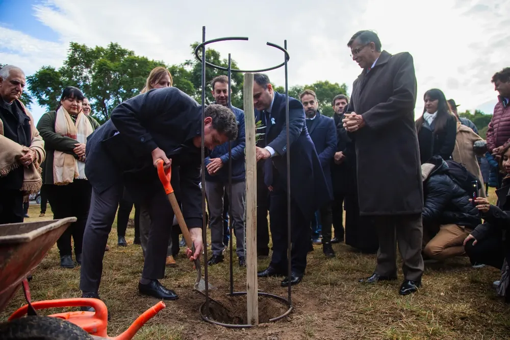gustavo fernández planta olivos