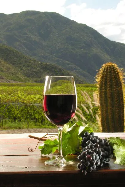 Malbec