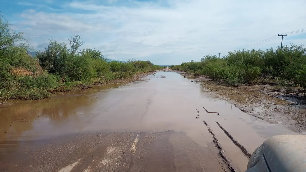 WhatsApp Image 2025-02-25 at 13.00.33