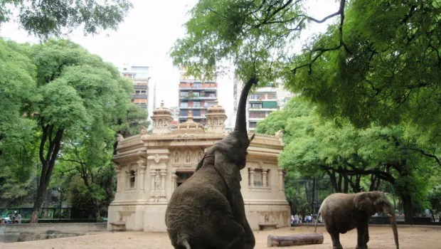 Zoologico-palermo