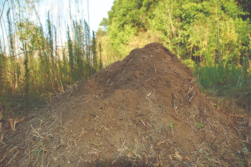 WhatsApp Image 2024-06-09 at 10.55.50