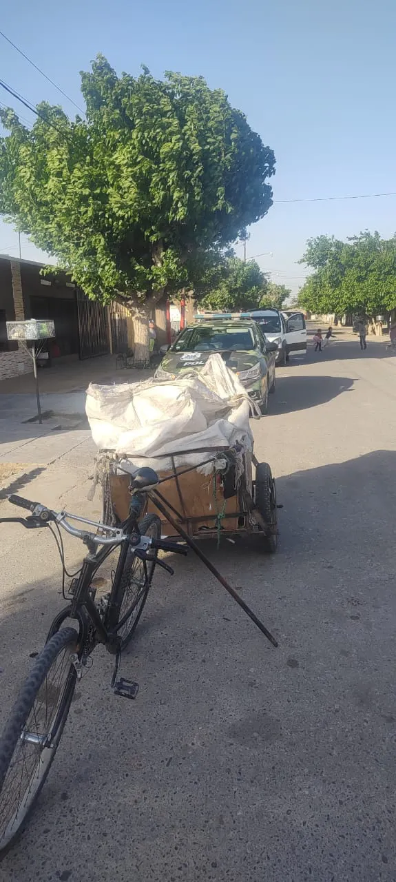 WhatsApp Image 2024-09-26 at 08.11.12 (1)