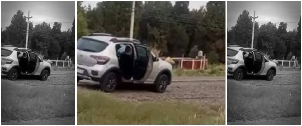 Accidente caballo ruta