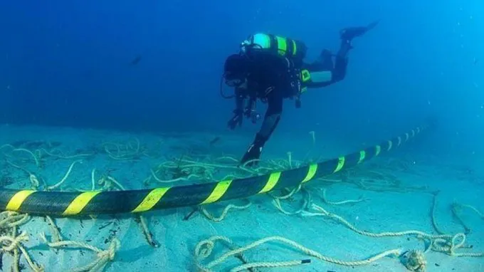 google-tannat-submarino