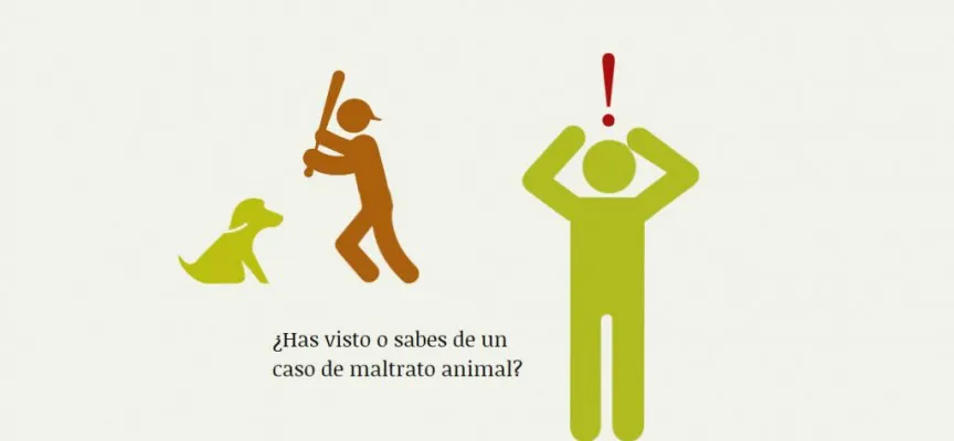 presentamos-yo-denuncio-la-primera-web-para-denuncias-de-maltrato-animal-1024x737-864x400_c