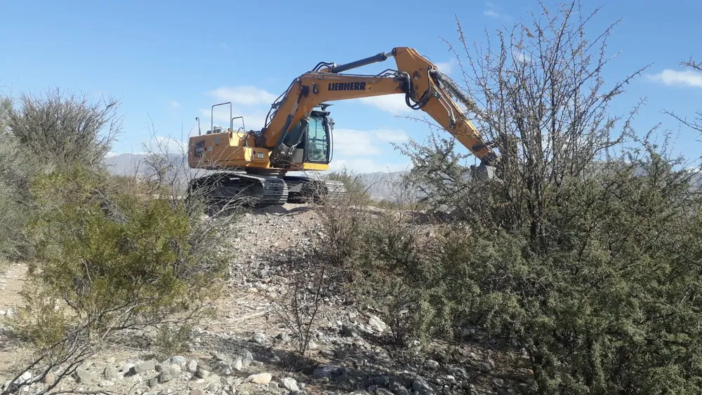 WhatsApp Image 2024-08-16 at 9.50.57 AM (1)