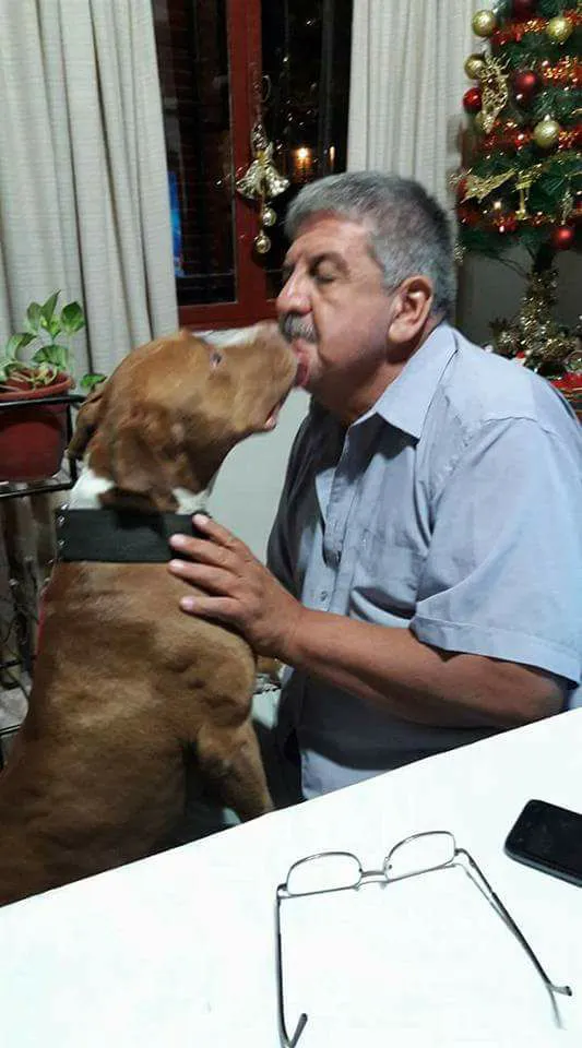 El pitbull de Flor Gallardo con su papá