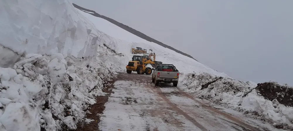 WhatsApp Image 2023-11-15 at 7.44.53 PM