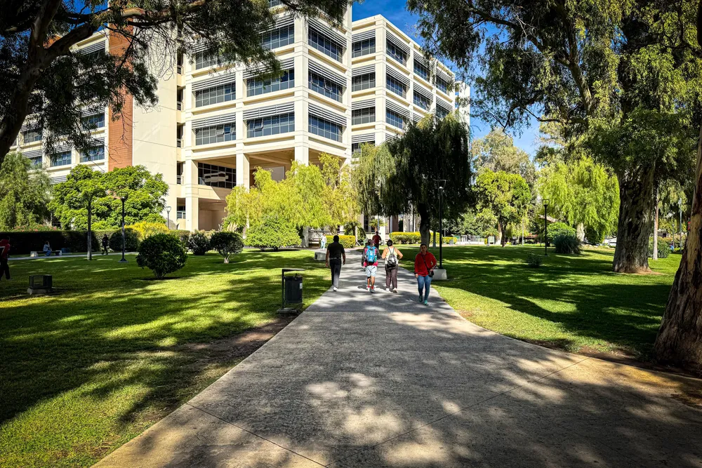 a4969f87-dda0-44a1-a07b-96071a2bd642