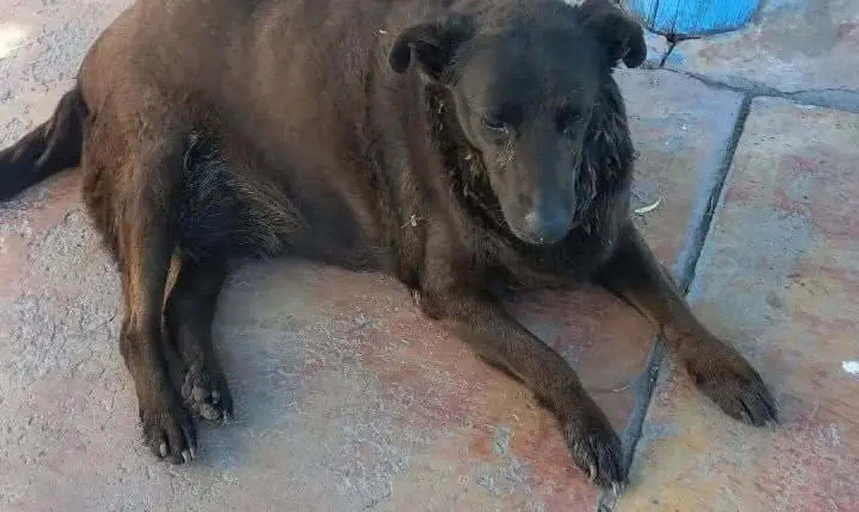 La Gorda
