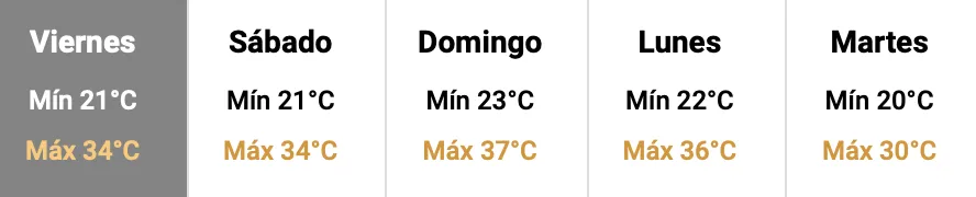 Captura de pantalla 2024-12-19 a la(s) 11.59.58 p.&nbsp;m. 1