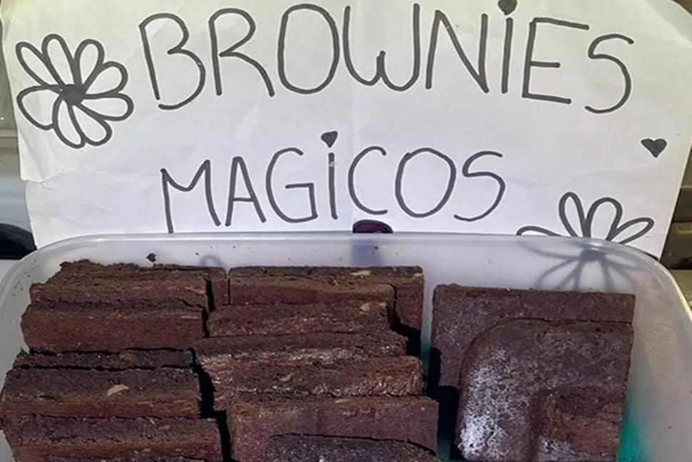 Brownies mágicos
