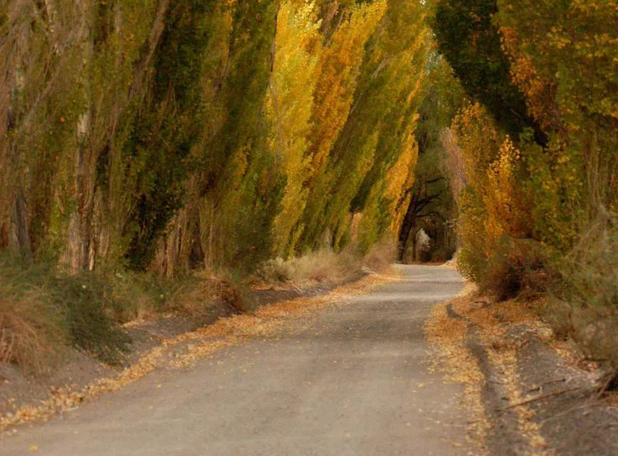 Barrrealalameda