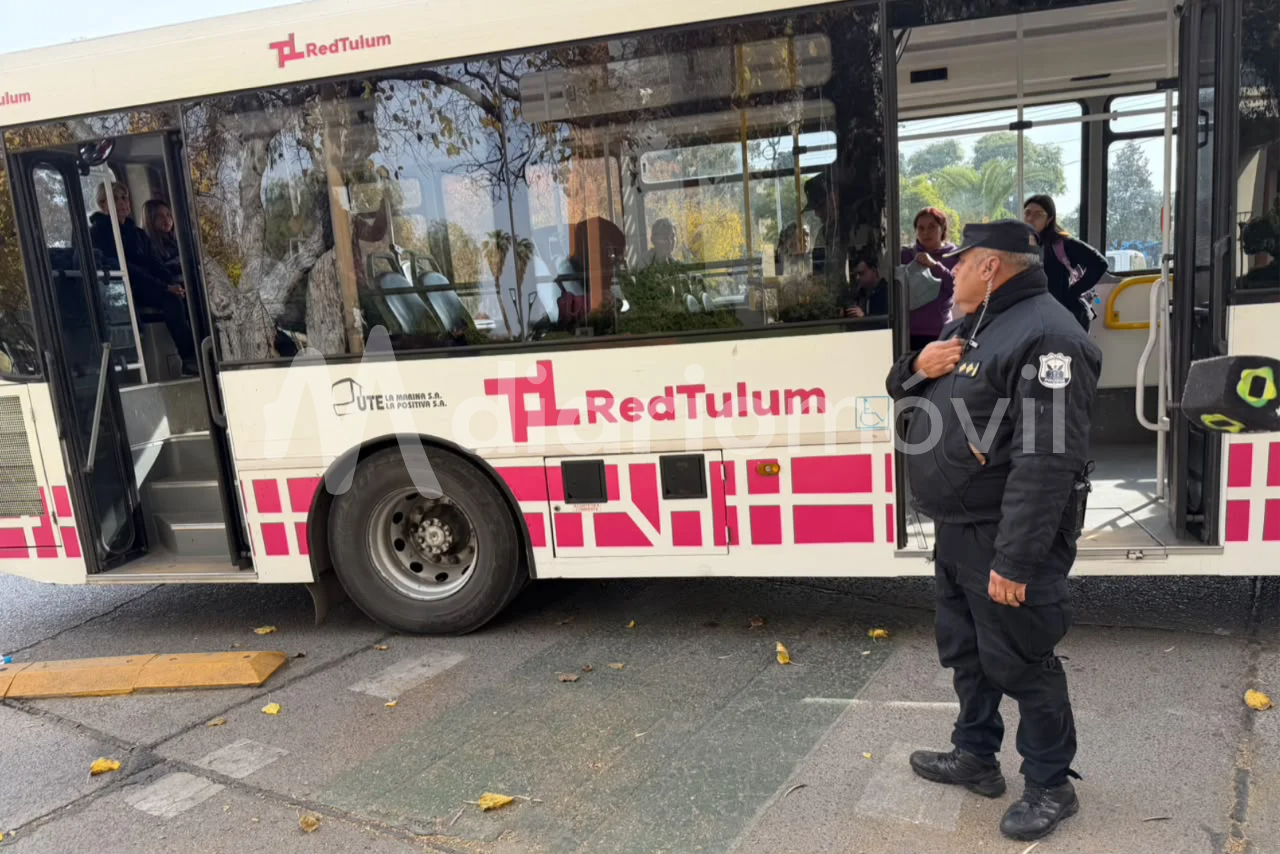 red tulum redtulum colectivo  policia robo nena descompensada
