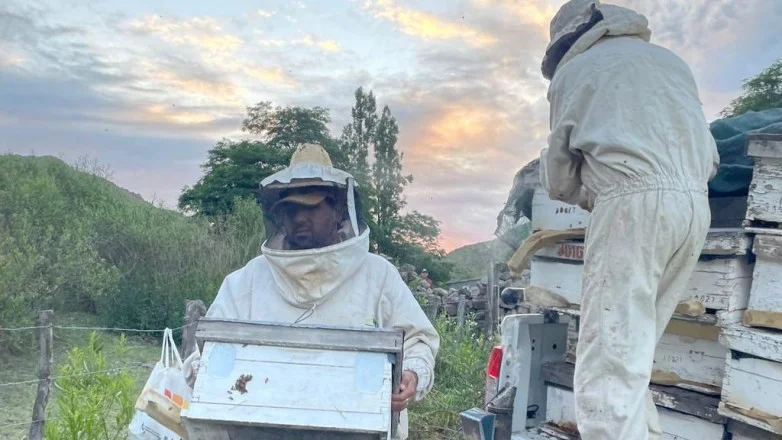 def867b0cf594d160929f021c3d43f9d_L