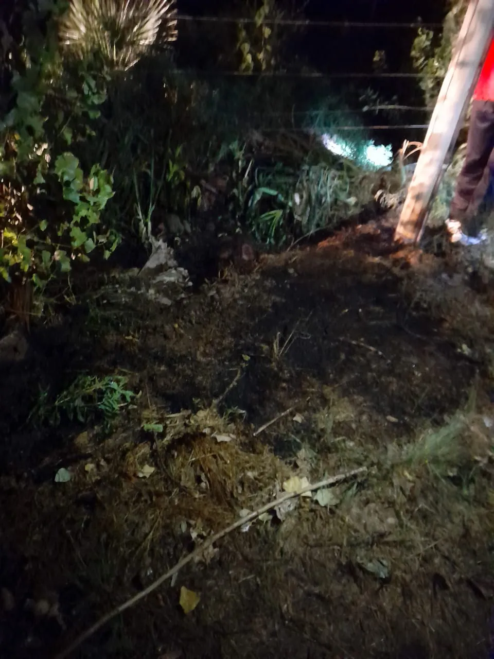 WhatsApp Image 2024-05-14 at 10.15.12 AM