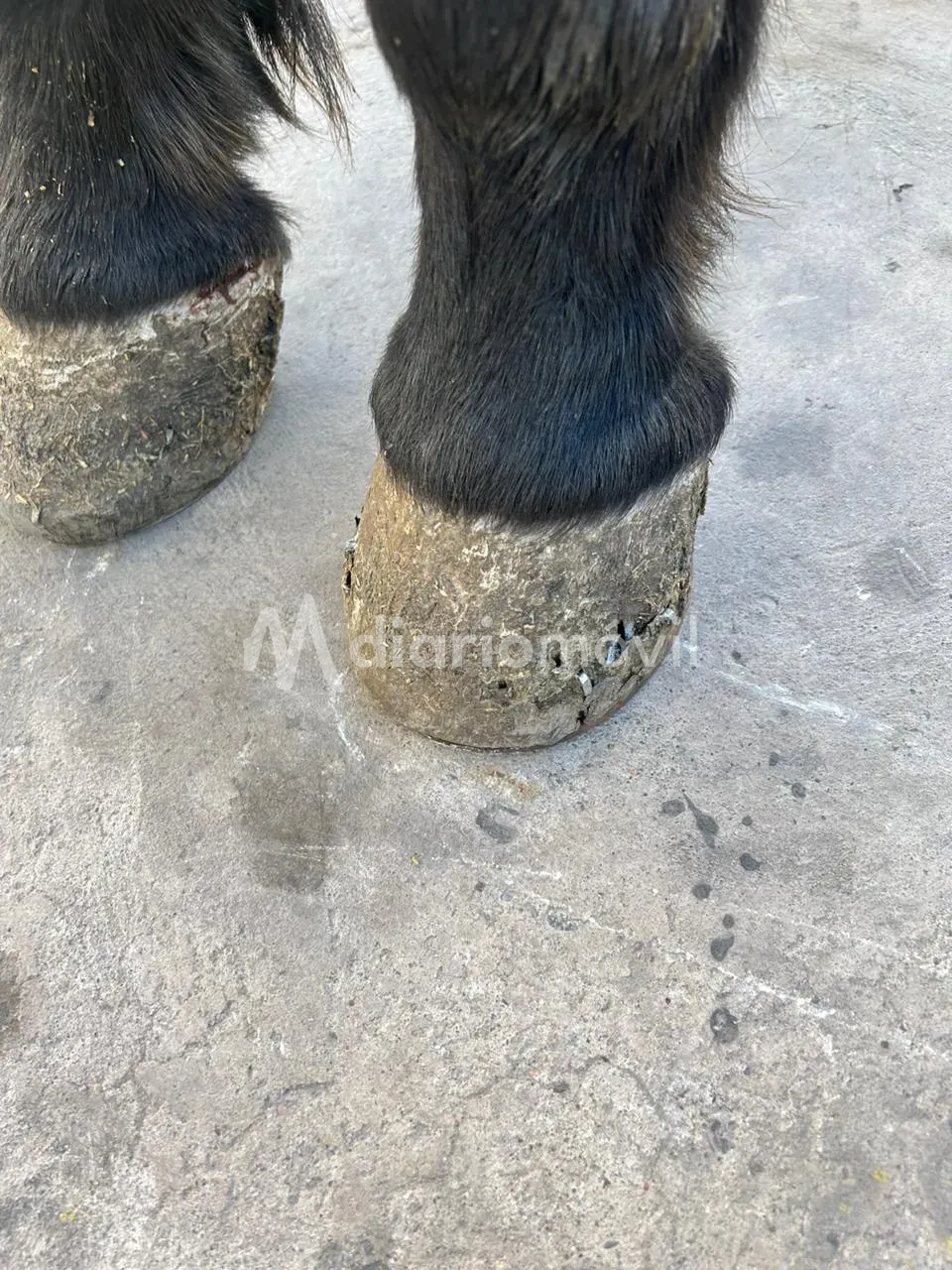 WhatsApp Image 2024-06-21 at 11.03.16 PM