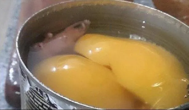 TeLeemos_78191_615x360_fit