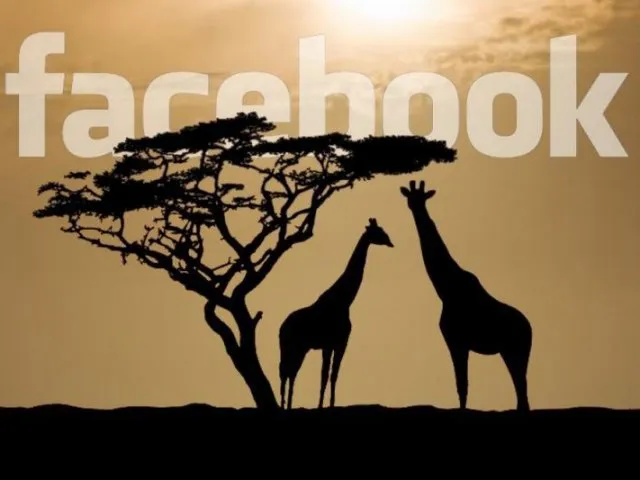 facebook-abre-su-primera-oficina-africa-impulsar-su-negocio-exterior