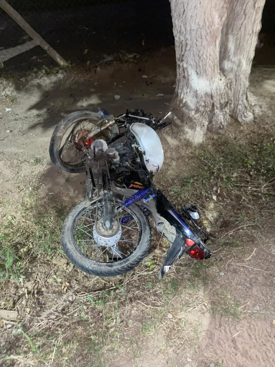 WhatsApp Image 2024-11-29 at 09.04.17