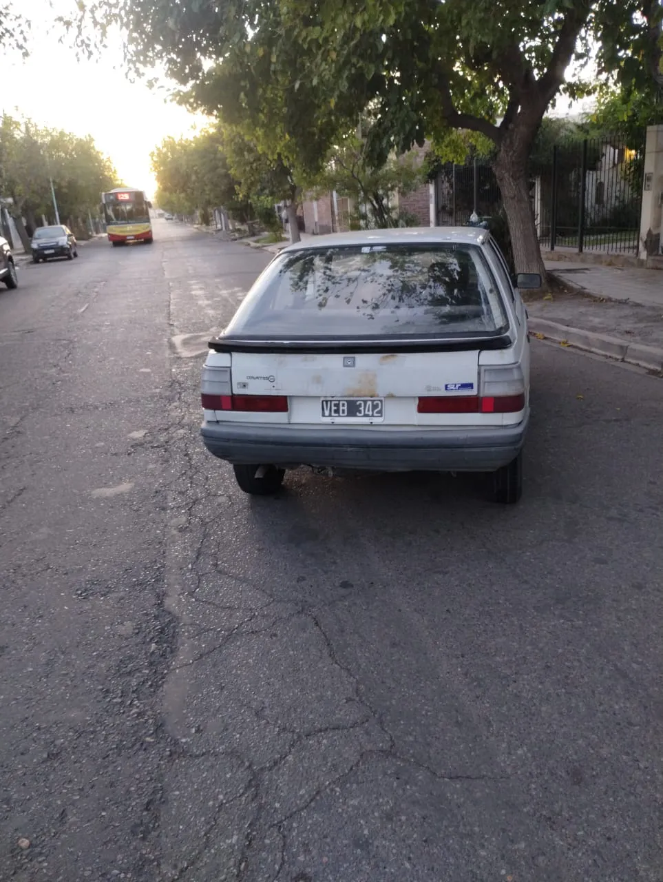 WhatsApp Image 2025-03-28 at 10.50.33