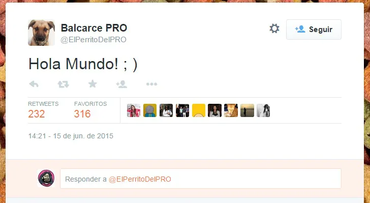balcarce-perro